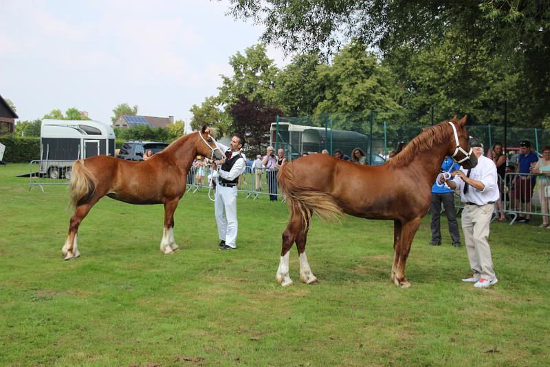 Crijtfeesten & Crijtrally (277).JPG